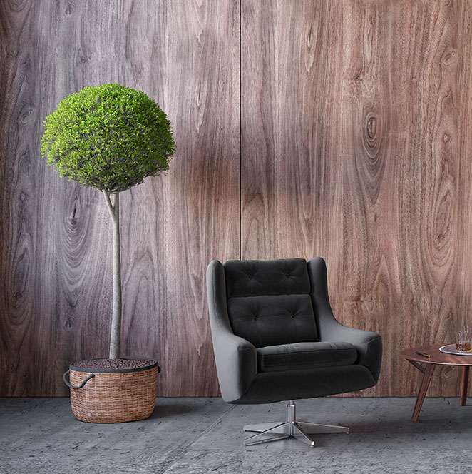 A Chair And A Table With A Potted Plant In Front Of A Wooden Wall.