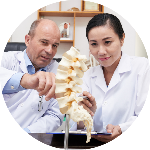 Orthopedic surgeons analyze the spine structure for medical diagnosis